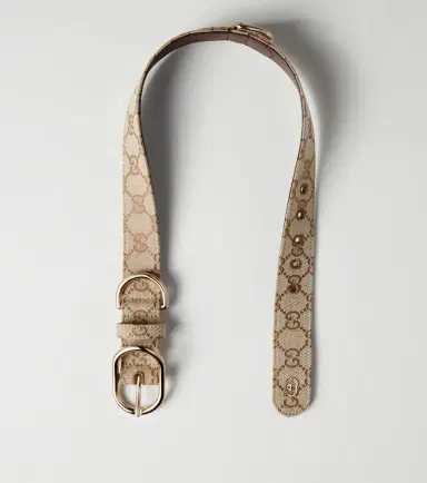 Gucci L/XL GG canvas dog collar | Thumbnail 2