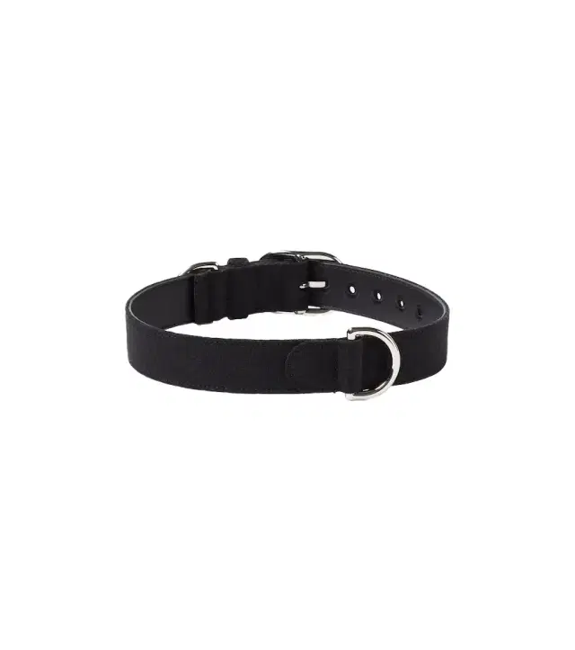 Gucci L/XL GG canvas dog collar