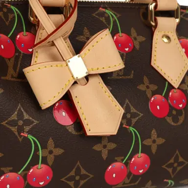 Louis Vuitton Louis Vuitton X Takashi Murakami Cerises Speedy Bandouliere 20 Bag Brown Cherry Monogram Gold Hardware | Thumbnail 6