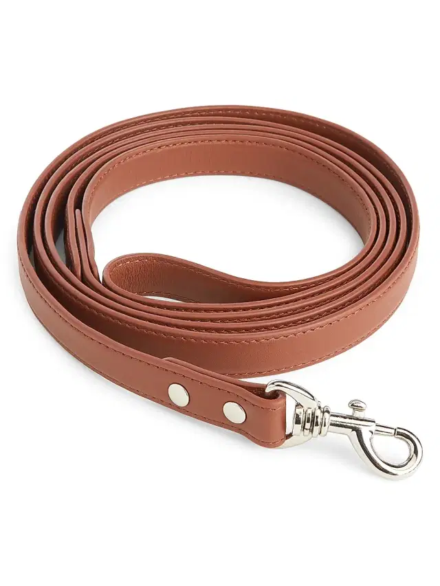 Royce New York Leather Dog Leash - Blush Pink
