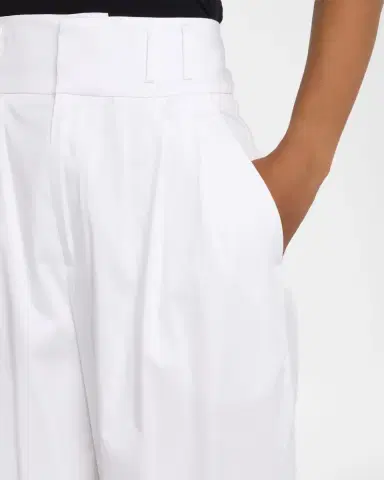 Altuzarra Wilson Double-Pleated Wide-Leg Ankle Pants | Thumbnail 4