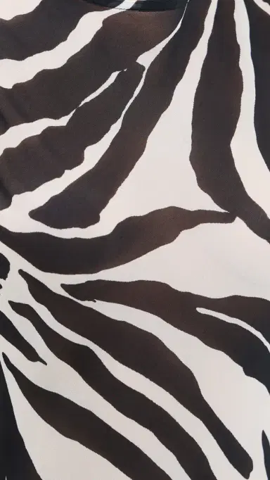 VRG GRL Francesca Sheer Maxi Dress Zebra | Thumbnail 6 VRG GRL Francesca Sheer Maxi Dress Zebra | Thumbnail 6