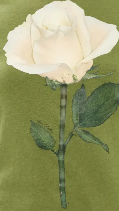 Acne Studios Rose Tee | Thumbnail 6 Acne Studios Rose Tee | Thumbnail 6