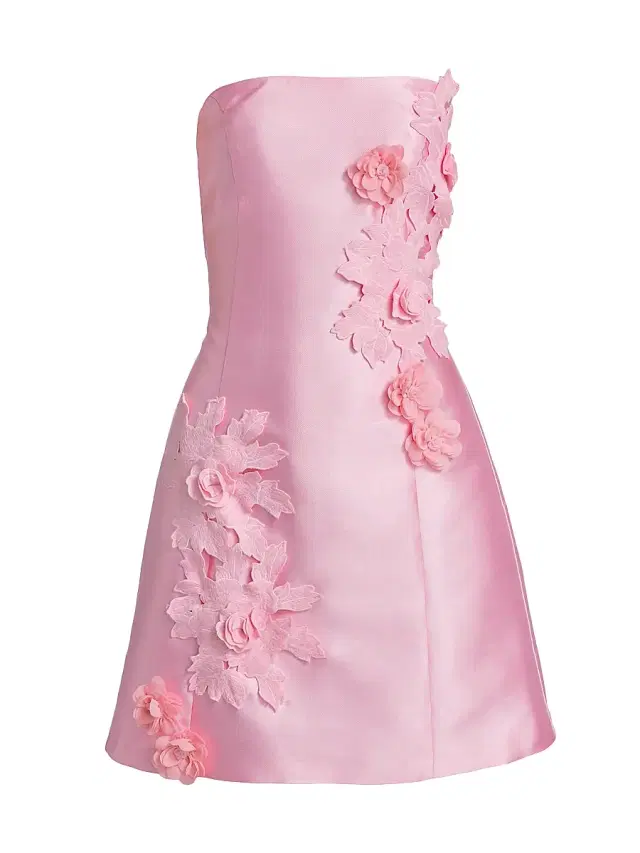 Elliatt Women's Walter Floral Applique Satin Minidress - Blush