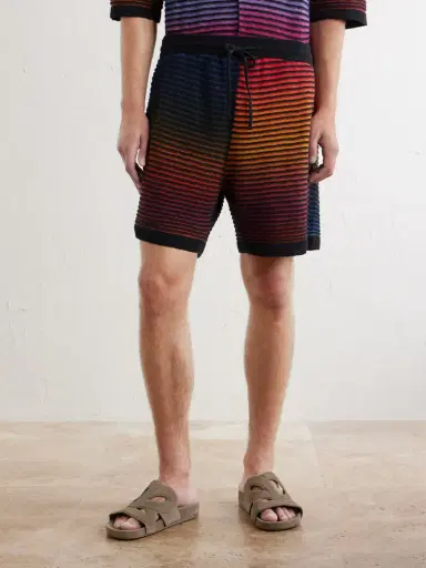 Loewe Paula's Ibiza Straight-Leg Striped Cotton-Blend Shorts - Men | Thumbnail 3 Loewe Paula's Ibiza Straight-Leg Striped Cotton-Blend Shorts - Men | Thumbnail 3