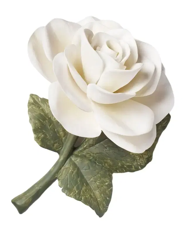 AERIN Porcelain Rose, Cream