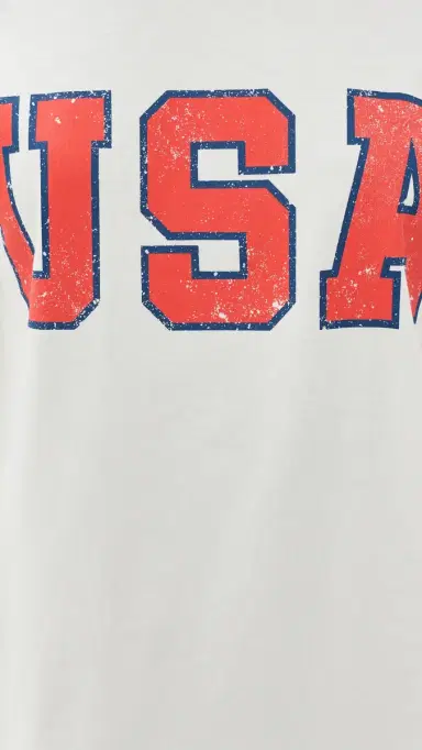 Z Supply USA Boyfriend Tee Sea Salt | Thumbnail 6 Z Supply USA Boyfriend Tee Sea Salt | Thumbnail 6