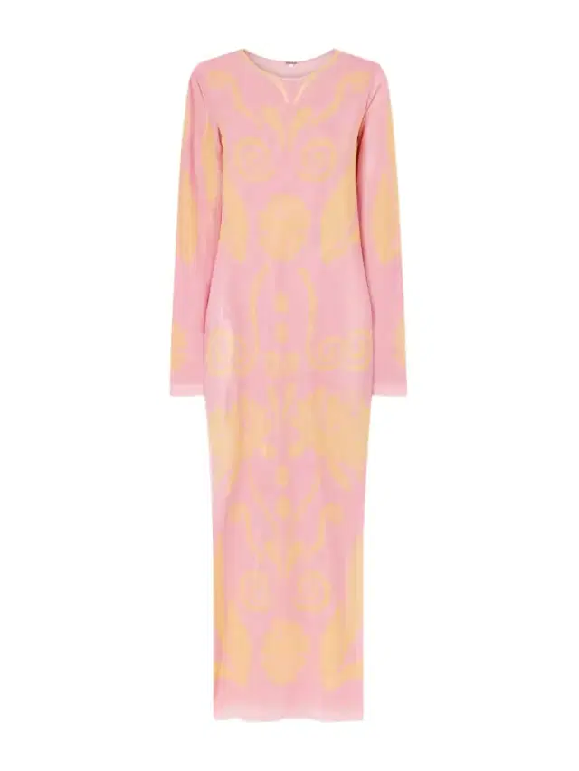 Tania Printed Mesh Maxi Dress