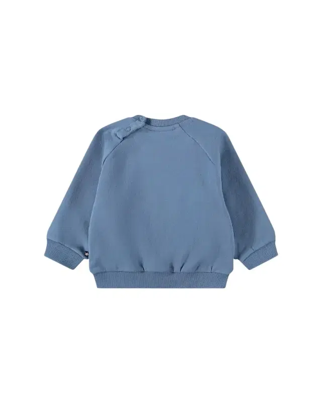 Boy 's Disc Embroidered Organic Cotton Sweatshirt, Size 3M-4