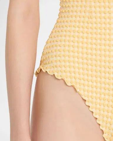 Simkhai Suni Textured Gingham One-Piece Swimsuit | Thumbnail 3 Simkhai Suni Textured Gingham One-Piece Swimsuit | Thumbnail 3