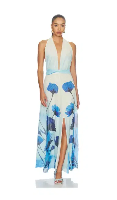 Especia Micelia Long Dress | Thumbnail 1