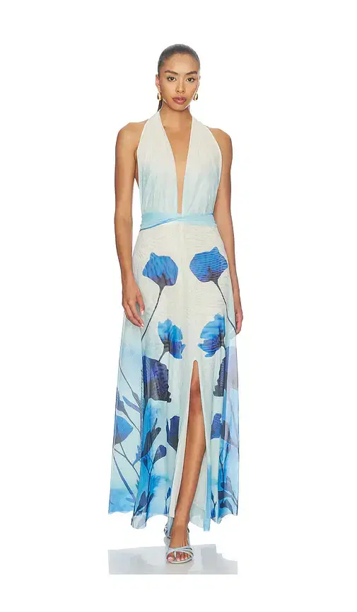 Micelia Long Dress