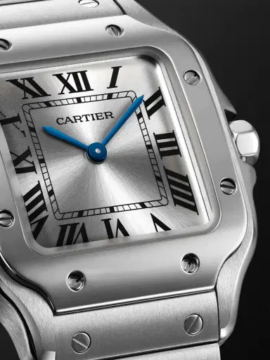 Cartier Santos de Small Stainless Steel Interchangeable Watch, Ref. WSSA0082 - Men | Thumbnail 5 Cartier Santos de Small Stainless Steel Interchangeable Watch, Ref. WSSA0082 - Men | Thumbnail 5