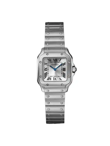 Cartier Santos de Small Stainless Steel Interchangeable Watch, Ref. WSSA0082 - Men | Thumbnail 1 Cartier Santos de Small Stainless Steel Interchangeable Watch, Ref. WSSA0082 - Men | Thumbnail 1