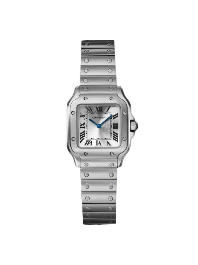 Cartier Santos de  Small Stainless Steel Interchangeable Watch, Ref. WSSA0082 - Men