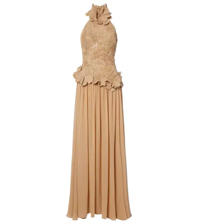 Elie Saab Raffia-trimmed silk-blend tulle gown