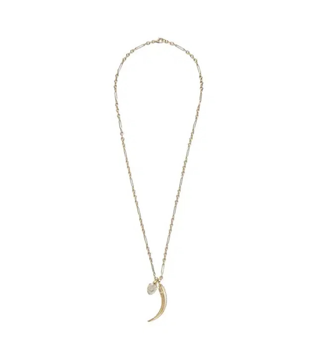 Protection & La Loba Claw 18kt gold pendant necklace