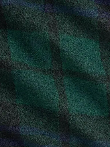 Polo Ralph Lauren Men's Plaid Flannel Shirt | Thumbnail 6