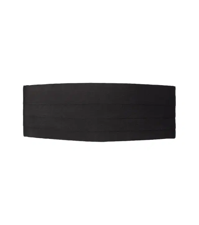 Brioni Silk cummerbund