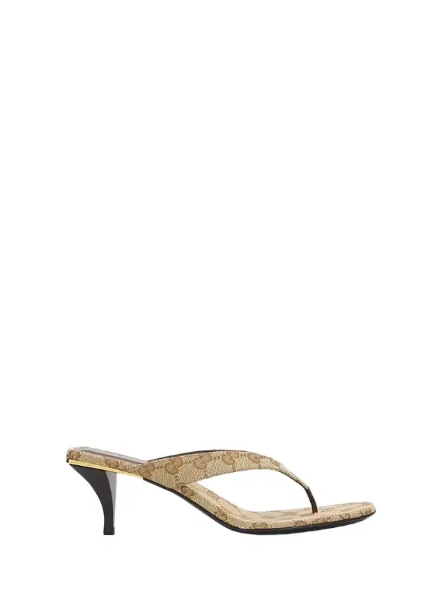 Women's Vittoria 55MM Thong Sandals - Vintage Sand