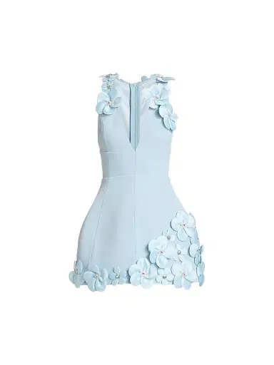 Bronx and Banco Women's Estelle Floral Appliqué Minidress - Powder Blue | Thumbnail 1