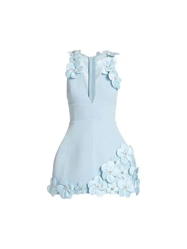 Bronx Banco Women's Estelle Floral Appliqué Minidress - Powder Blue