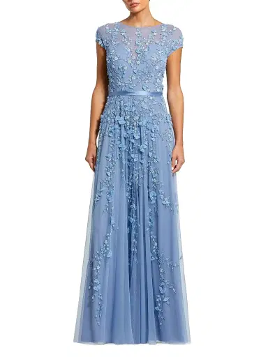Mac Duggal Women's Petite Floral Applique Chiffon A-Line Gown - Sky Blue - Size Petite 16 | Thumbnail 1