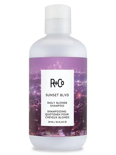 R+Co Women's Sunset Blvd Daily Shampoo | Thumbnail 1 R+Co Women's Sunset Blvd Daily Shampoo | Thumbnail 1