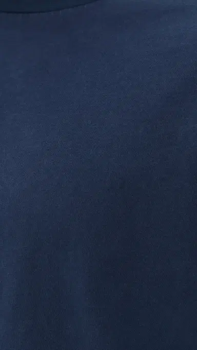 Madewell x Shopbop Rockaway Tee Ink | Thumbnail 6