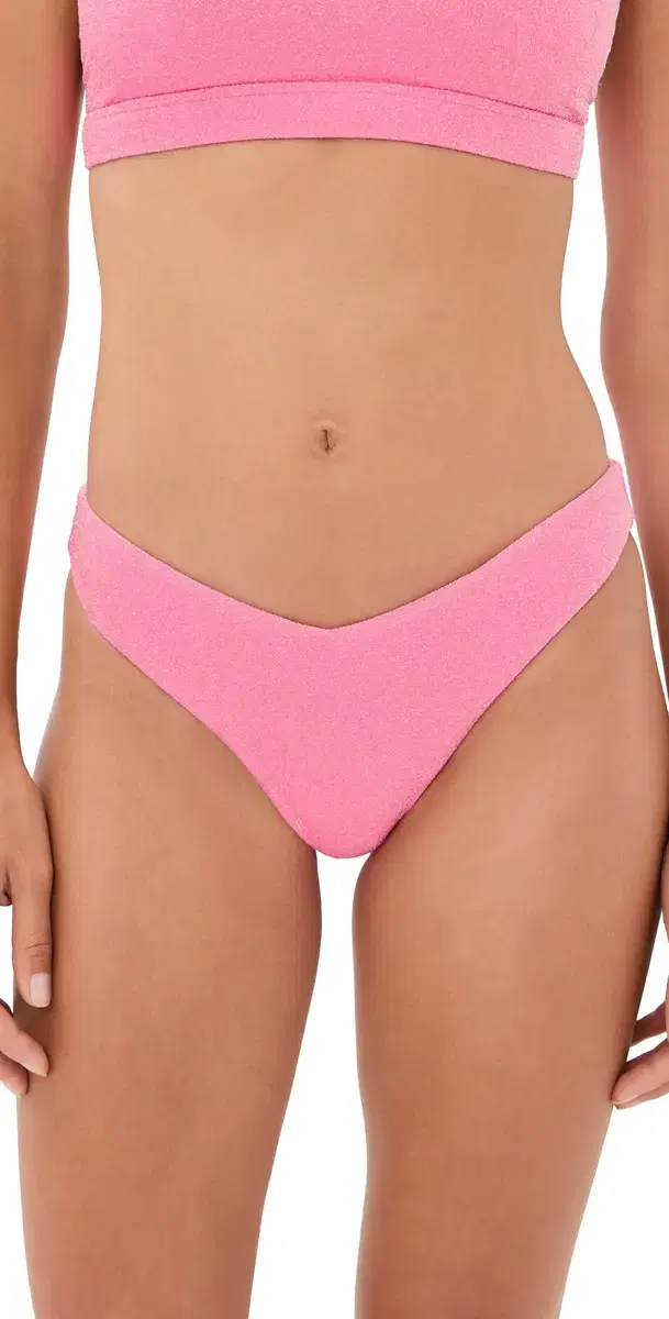 Beach Riot Vanessa Bikini Bottoms horeline Pink hine
