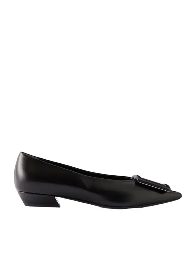 Pointy Covered Ballerina 25 Leather Ballet Flats