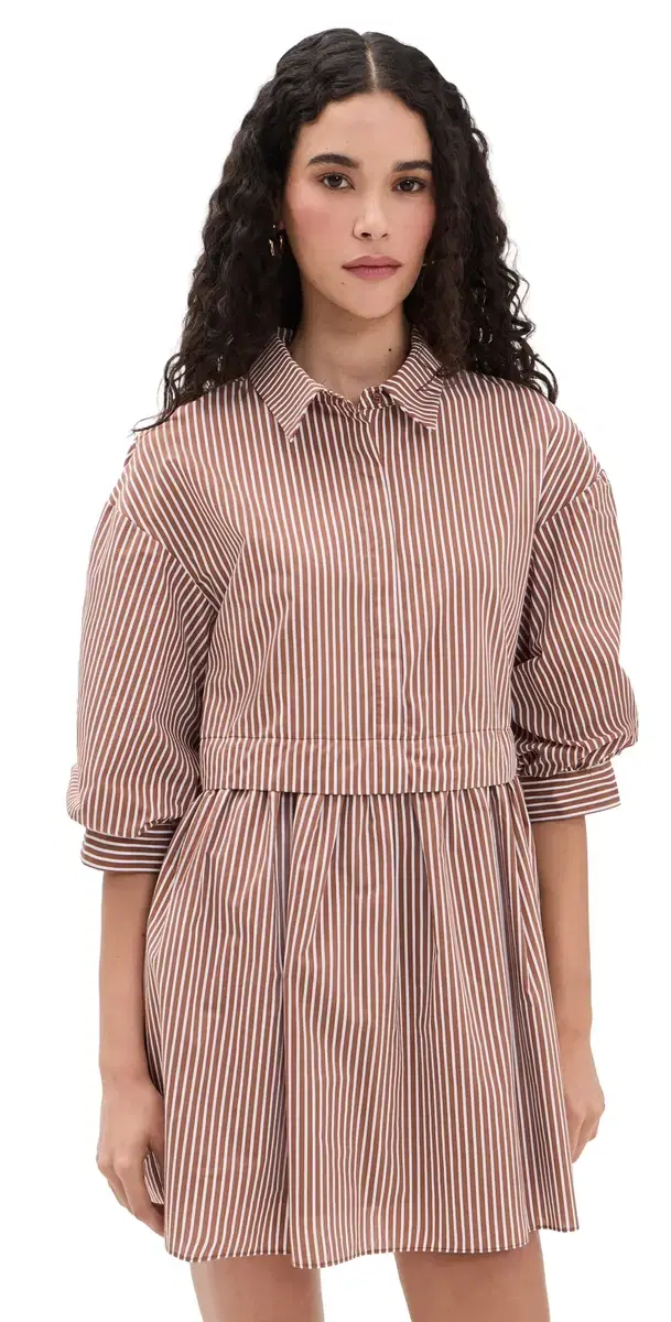 tripe Puff leeve hirt Dress Brown tripe