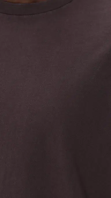 Madewell x Shopbop Rockaway Tee Rum Raisin | Thumbnail 6