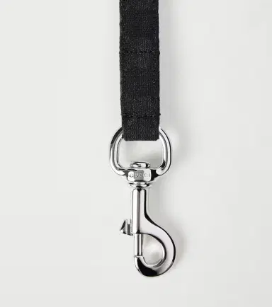 Gucci GG canvas dog leash | Thumbnail 4
