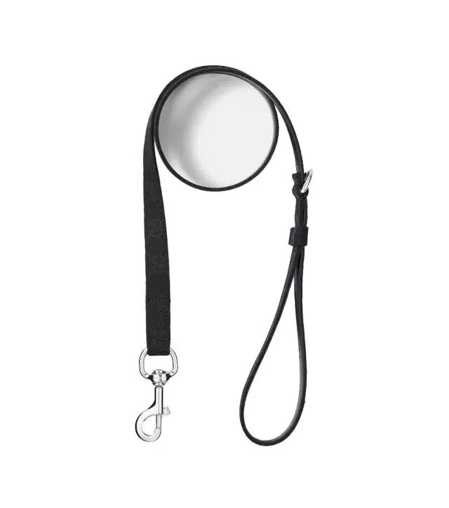 Gucci GG canvas dog leash