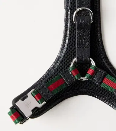 Gucci XS GG canvas leather-trimmed dog harness | Thumbnail 2