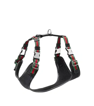 Gucci XS GG canvas leather-trimmed dog harness | Thumbnail 1