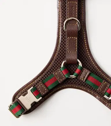 Gucci XS GG canvas leather-trimmed dog harness | Thumbnail 2