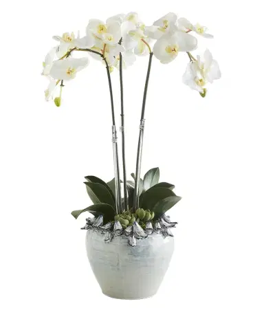 T & C Floral Company Orchid Faux Florals in Ceramic Bird Pot - 25" | Thumbnail 1 T & C Floral Company Orchid Faux Florals in Ceramic Bird Pot - 25" | Thumbnail 1