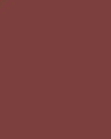 TOM FORD Scarlet-02 Square Acetate Sunglasses | Thumbnail 4