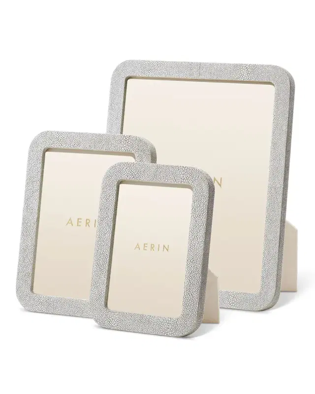 AERIN Modern Faux Shagreen Frame