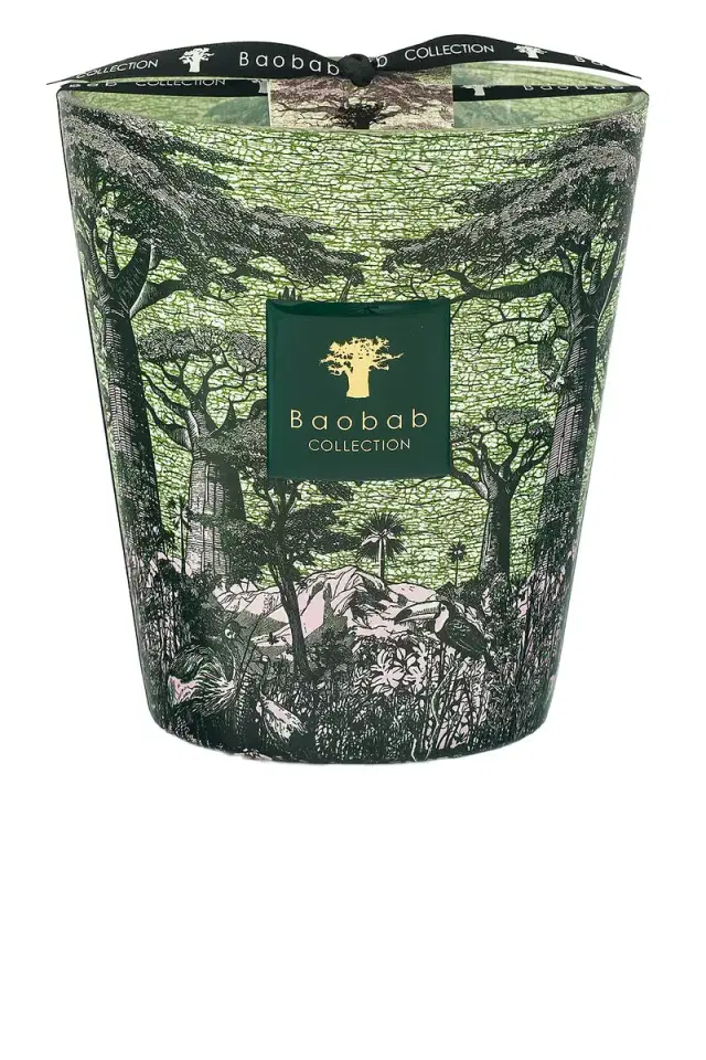 Baobab Collection Sacred Trees Touba Signature Candle
