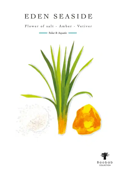 BAOBAB COLLECTION Eden Seaside Signature Candle | Thumbnail 2 BAOBAB COLLECTION Eden Seaside Signature Candle | Thumbnail 2