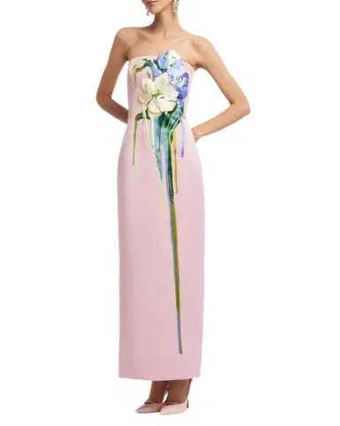 LEO LIN Rayna Embroidered Bustier Maxi Dress | Thumbnail 1 LEO LIN Rayna Embroidered Bustier Maxi Dress | Thumbnail 1