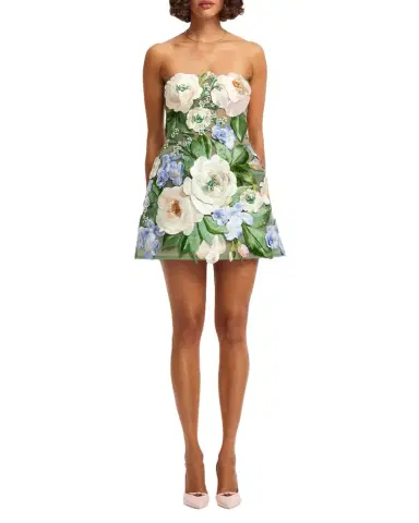 LEO LIN Floral Hand-Embroidered Bustier Mini Dress | Thumbnail 1 LEO LIN Floral Hand-Embroidered Bustier Mini Dress | Thumbnail 1