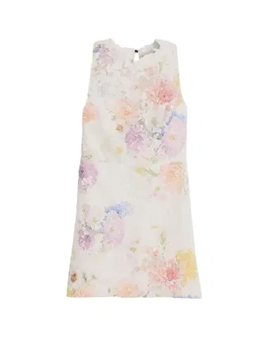 As It May Nerine Sleeveless Floral Lace Mini Dress | Thumbnail 1 As It May Nerine Sleeveless Floral Lace Mini Dress | Thumbnail 1