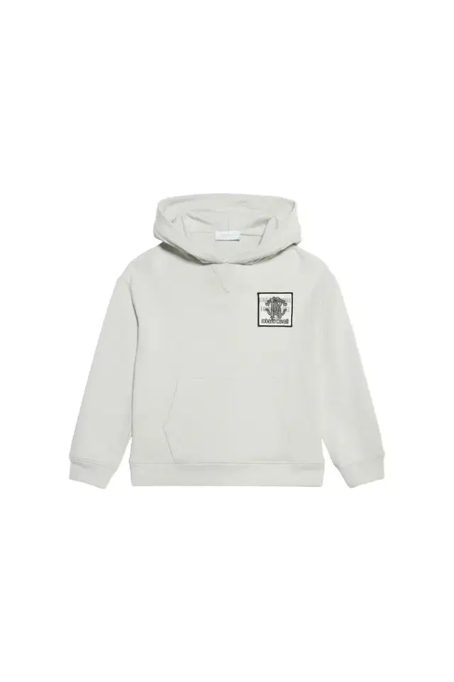 - Boy Sweatshirts Ice Grey 08a