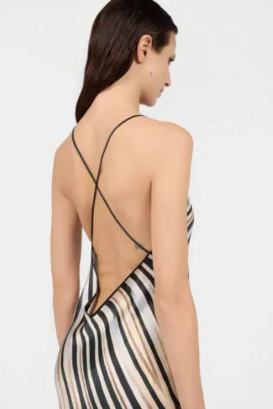 Roberto Cavalli Zebra Print Slip Dress | Thumbnail 5 Roberto Cavalli Zebra Print Slip Dress | Thumbnail 5