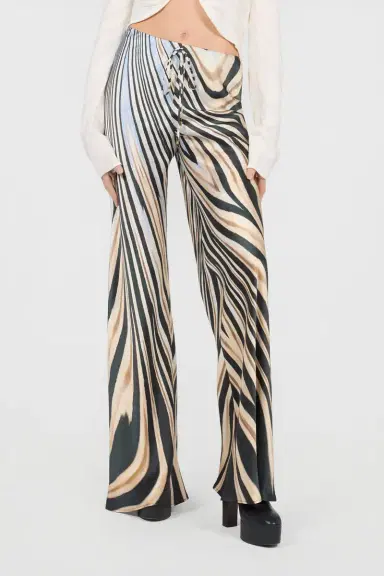 Roberto Cavalli Zebra Print Trousers | Thumbnail 2