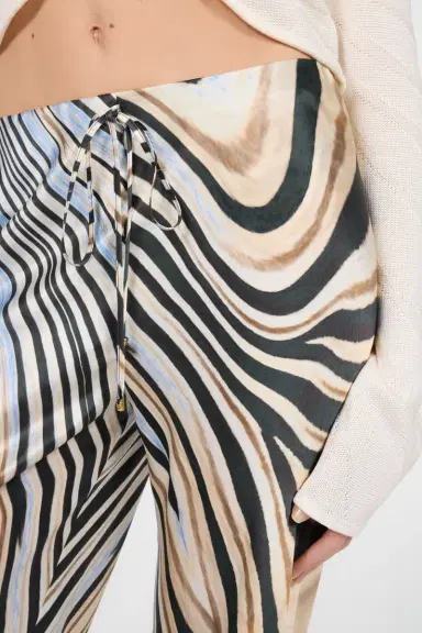 Roberto Cavalli Zebra Print Trousers | Thumbnail 4